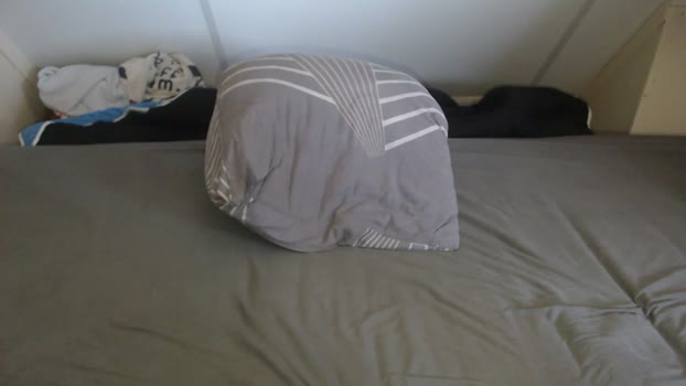 lewenzi 07-04-2026 video Show