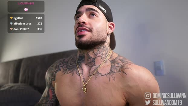 dominic_sullivan1 10-04-2026 video suckshow