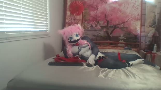 caged_kitty 10-04-2026 video horny