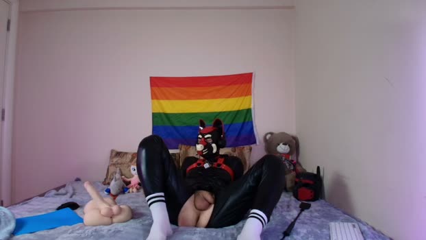 k9_goodboy 16-04-2026 video playtime