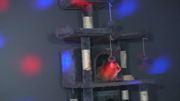 sydaffect 18-04-2026 Gay beauty bigload Video