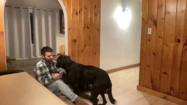 ofthatguy 23-04-2026 Gay fingering spank Video