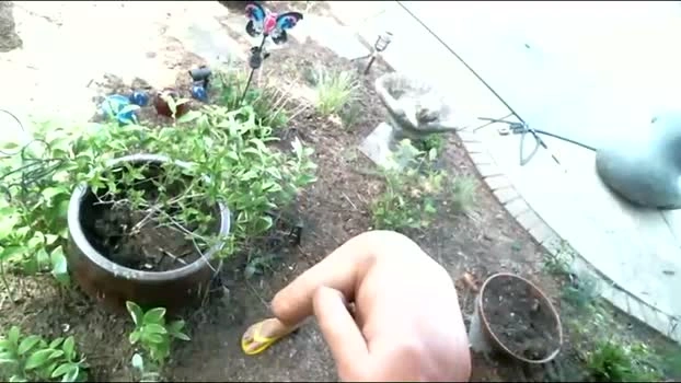 anoaklawnguy 23-04-2026 Gay cute jerking Video