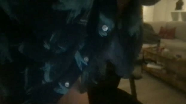 treeshake22 26-04-2026 Gay suck handsome Video