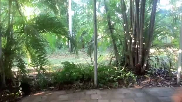 aussiemuscledad 30-04-2026 Gay toys kinky Video