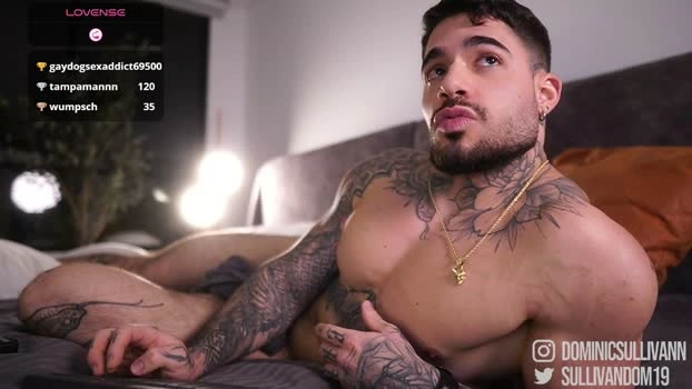 dominic_sullivan1 03-05-2026 Gay handsome big Video