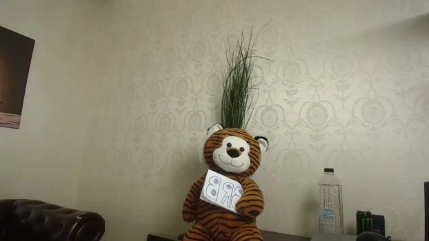 kyloeast 04-05-2026 Gay analtoy jackoff Video