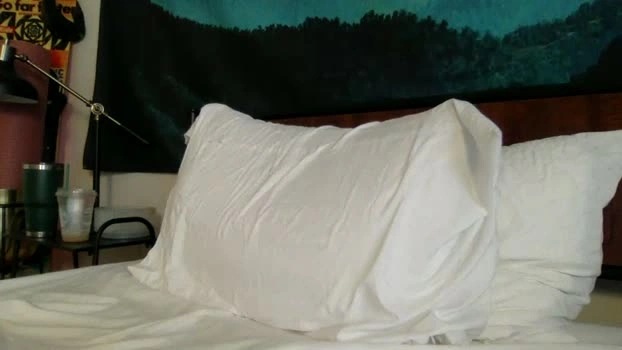 thehairyprince 07-05-2026 Gay orgasm kiss Video