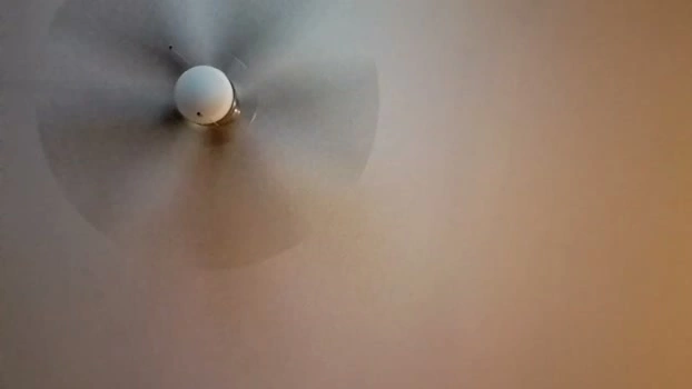 patrick247288 10-05-2026 Gay oral horny Video
