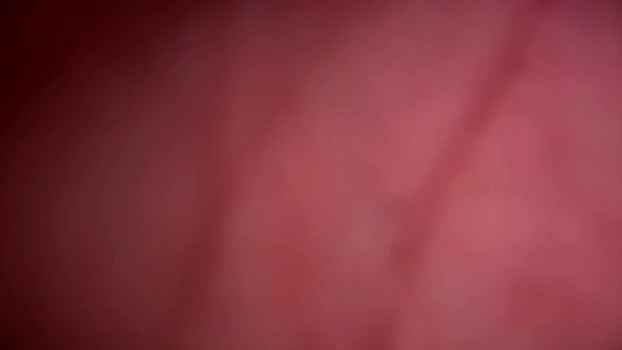 forbiddenalpha 14-05-2026 Gay Pretty strip Video
