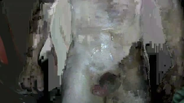 hebarsensei 17-05-2026 Gay lush jerking Video
