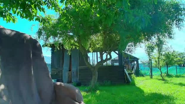 alexsunn 23-05-2026 Male Video Pretty Video