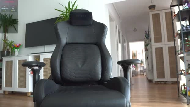 kevinandresxx 23-05-2026 Male ass bigballs Video