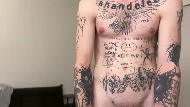 prettyboyszn 24-05-2026 Male strip wank Video