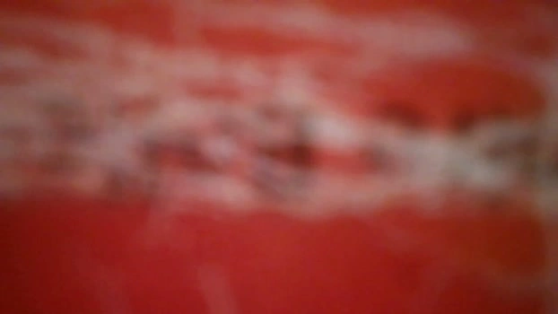 goodboy146 24-05-2026 Male blowjob toy Video