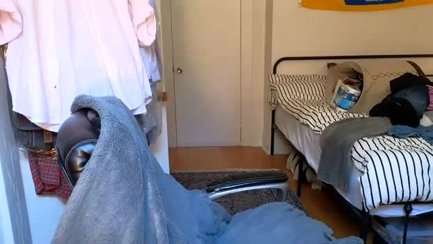 blastoise234 25-05-2026 Male moan hardcock Video