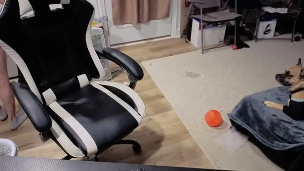 josefturner1 27-05-2026 Male analtoy jerkoff Video