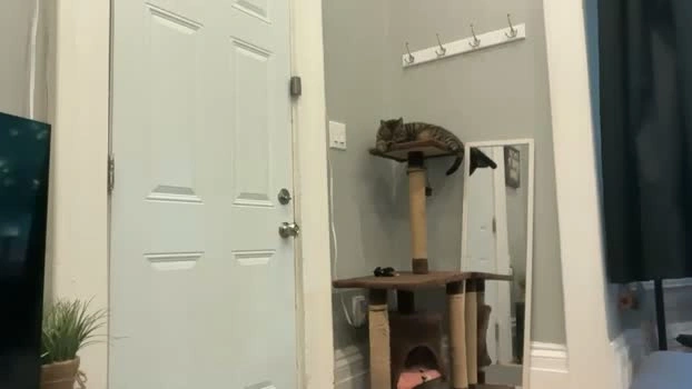 chadtitan 31-05-2026 Male suck big Video