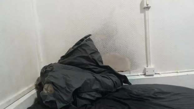 splashyyyz 05-06-2026 Male blowjob Ass Video