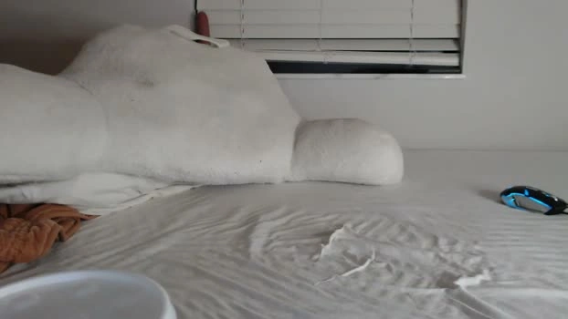 papijakey 10-06-2026 Male suckcock bigballs Video