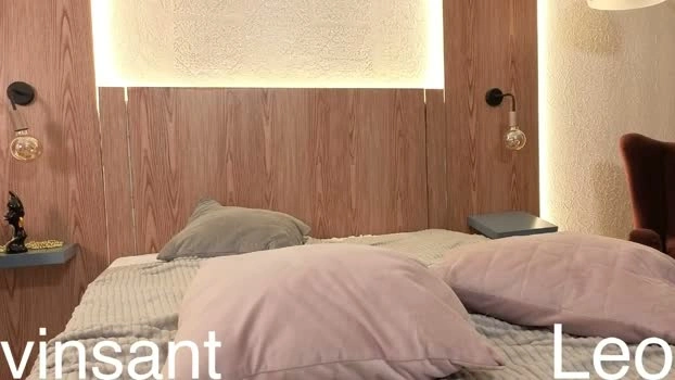 vinsant_x 11-06-2026 Male ass prettyface Video