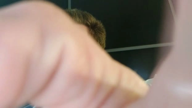urbuddy7 19-06-2026 Male kissing bigass Video
