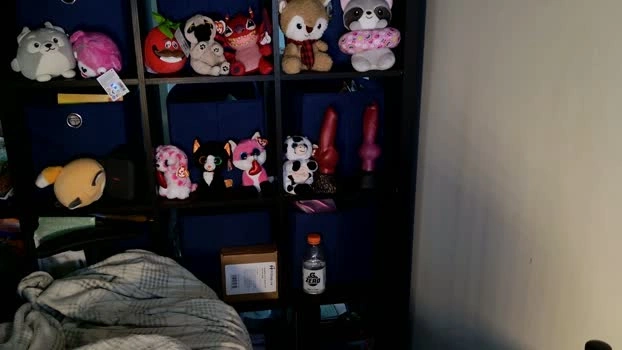 mellpup 19-06-2026 Male playtime strip Video