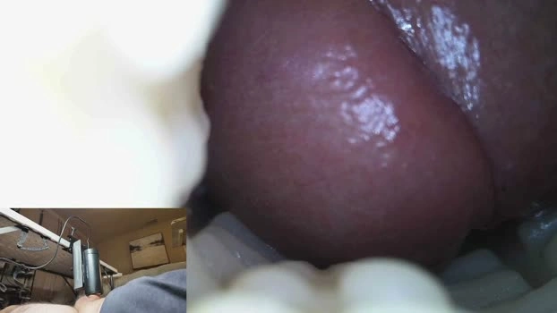 xoxowtf 20-06-2026 Male bigload amateur Video