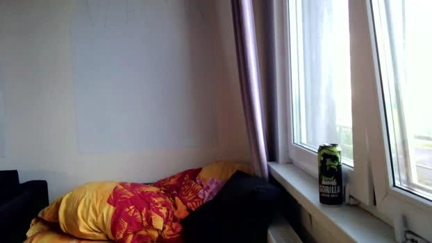 vlamen007 26-06-2026 Male sex Gay Video
