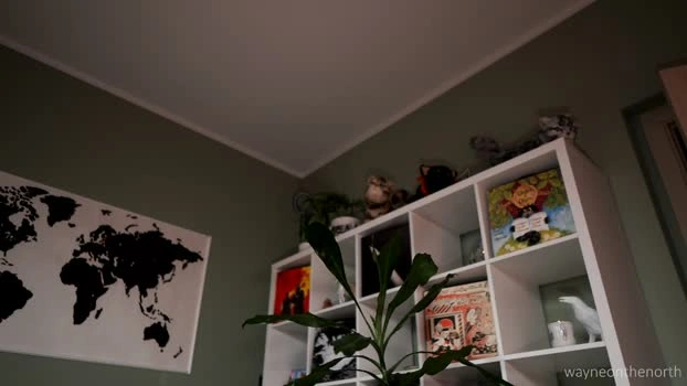 waynenorth 11-07-2026 Male squirt fuckass Video