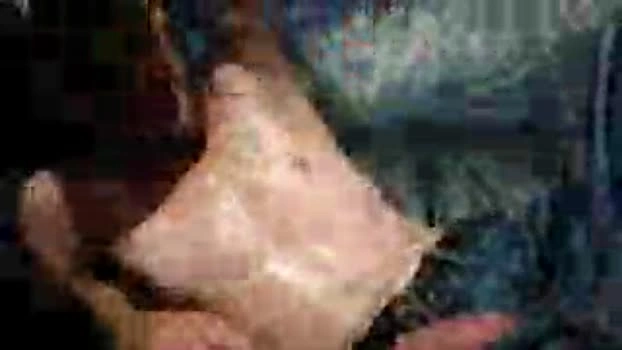 bigwytecock1979 15-07-2026 Male prettyface amateur Video