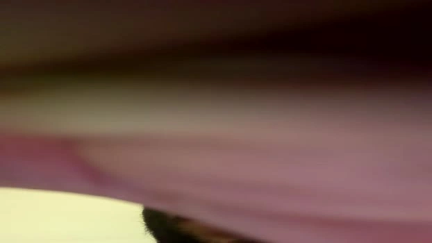 tony751 25-07-2026 Male sweet Naked Video