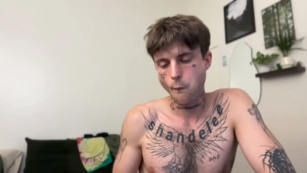 prettyboyszn 26-07-2026 Male Gay analtoy Video