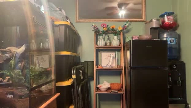 234scoobydoo 28-07-2026 Male Ass prettyface Video