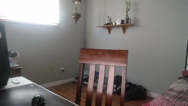 coffeelounge 29-07-2026 Male jerking natural Video
