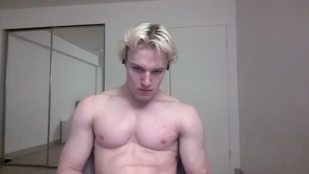 thelevimeyers 31-07-2026 Male analtoy horny Video