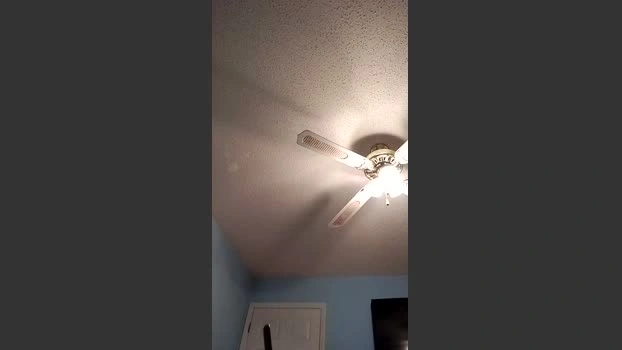 prisonbae 03-08-2026 Male horny ass Video