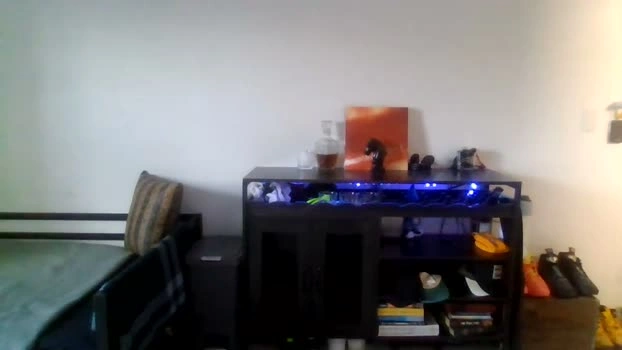 swoaldaddy 04-08-2026 Male strip horny Video