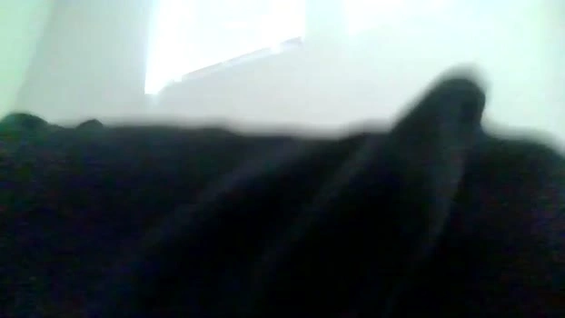 collegeitalian 06-08-2026 Male Video XXX Video