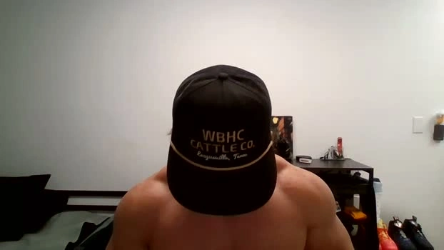 swoaldaddy 06-08-2026 Male playtime bicurious Video