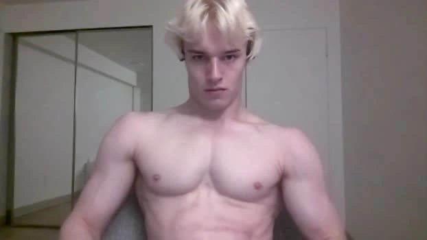 thelevimeyers 06-08-2026 Male jerking deep Video