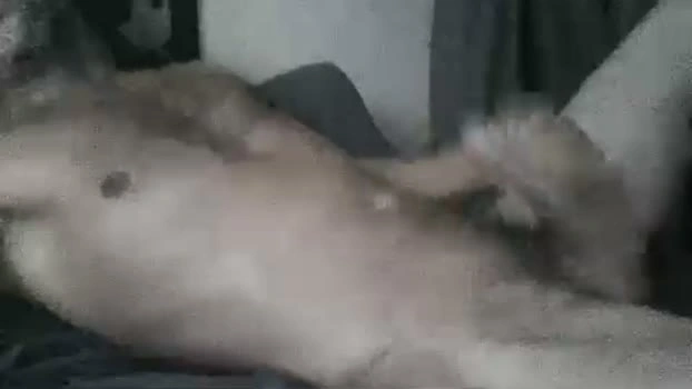 dickseenormous 07-08-2026 Male gay blowjob Video