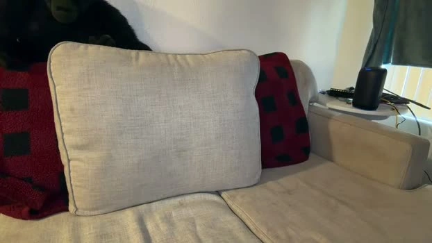 healthiest_cock 07-08-2026 Male hardcore bj-dildo Video