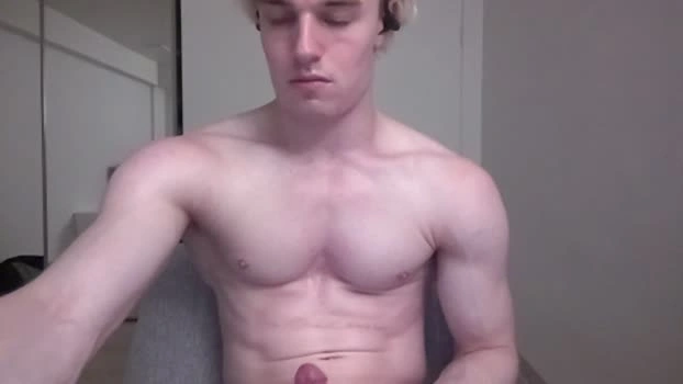 thelevimeyers 09-08-2026 Male hardcock lovense Video