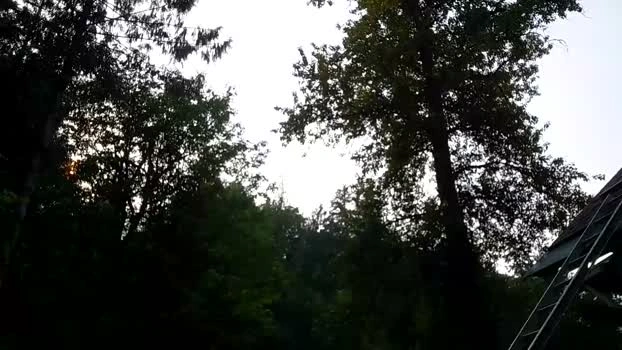 info_chat 15-08-2026 Male analsex wank Video