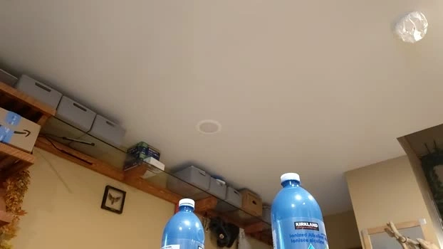 info_chat 15-08-2026 Male fuckme oral Video