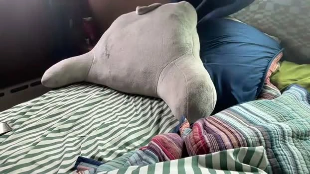 micah6807 15-08-2026 Male bj-dildo toys Video