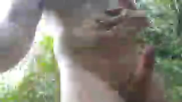 bi_french69 18-08-2026 Male jerkoff strip Video