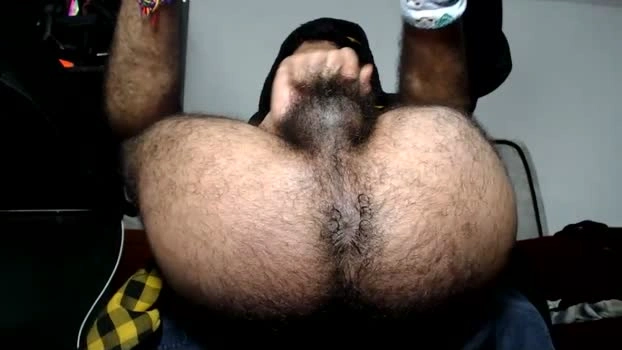 hairyguyxl29 18-08-2026 Male analtoy big Video
