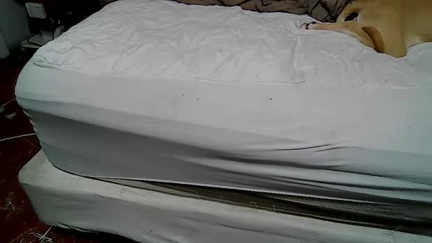 me4master 27-08-2026 Male blowjob naked Video